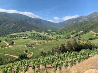 Fototapeta na wymiar Chilean vineyard part of the wine route, Ventisquero. Colchagua Valley, Apalta, Santa Cruz, Chile, South America. 