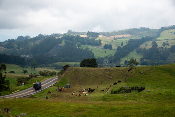 Truck on a road between cow grazing farms in the department of Cundinamarca on the outskirts of...