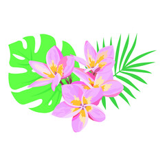Fototapeta na wymiar Composition of tropical flowers and leaves on a white background. Frangipani flowers, monstera leaf, palm leaf. Card with floral illustration