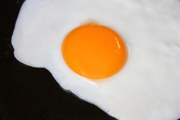 Egg