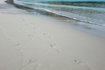 footsteps on the beach