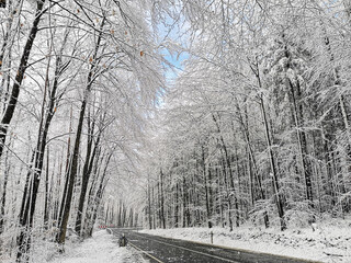 Snowy winter road in forest, Badem-Wuerttemberg, Germany