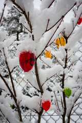 eastern in snow