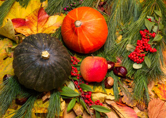 Pumpkin on autumn leaves