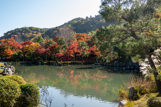 曹源池庭園 Photos Royalty Free Images Graphics Vectors Videos Adobe Stock 曹源池庭園 Photos Royalty Free Images Graphics Vectors Videos Adobe Stock