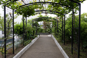 目黒天空庭園の道