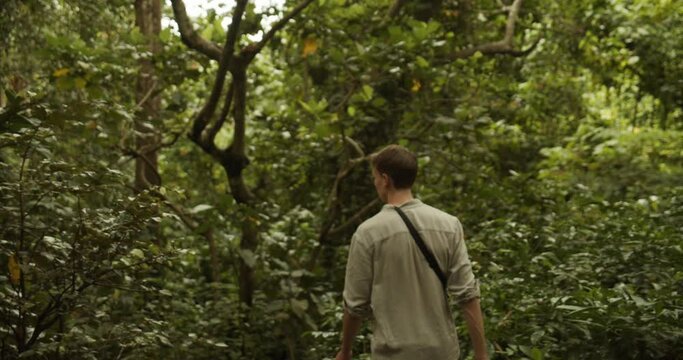 Young caucasian man in khaki shirt walking through a tropical rainforest in Bali alone