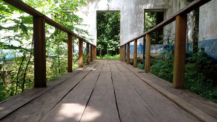 Wooden passage with wild trees and grass at the side of it