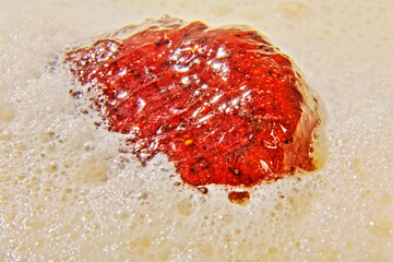 Molecular Cooking - Huckleberry Ravioli With White Chocolate Foam