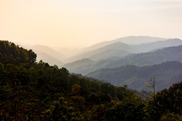 Natural forest, rich in the Mae Wong mountain range, Thailand. © จิตรกร เนาเหนียว