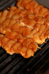 Meat baking on grill close up cooking modern high quality prints greek traditional food style