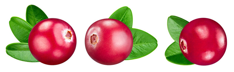 Cranberry berry isolated clipping path