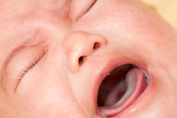 Fototapeta premium Baby Crying Loud Close Up