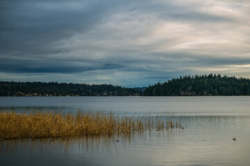 2021-01-28 LAKE WASHINGTON AND SEWARD PARK FROM MERCER ISLAND WASHINGTON