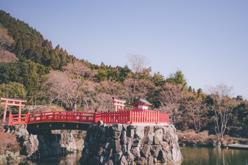 冬の勝尾寺
