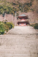 冬の勝尾寺