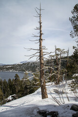 The View at Emerald Bay