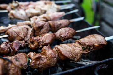 Shish kebab of elite veal skewered on a grill close-up outdoors