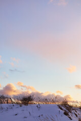 Obraz premium 冬 枯れ草 夕焼け