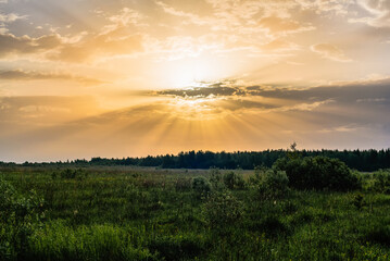 orange yellow sun rays on the Golden sky at dawn or sunset in summer over the meadow