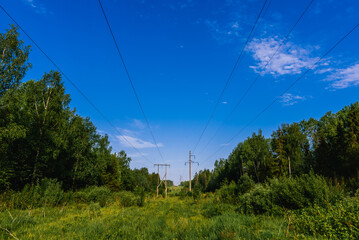 high voltage power line in the forest on a summer day