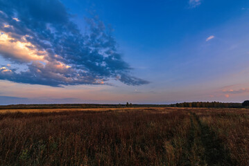 Fototapeta premium calm evening landscape in a field with forest on the horizon with clouds and moon in the sky