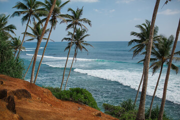Naklejka na ściany i meble Ocean and palm trees on the shore. 