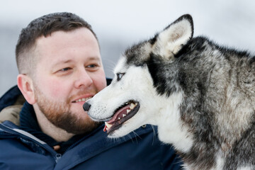 Men playing with siberian husky in winter forest and park, animals and ecology