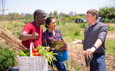 Obraz premium Farmers talk during meeting on the field after harvesting vegetables