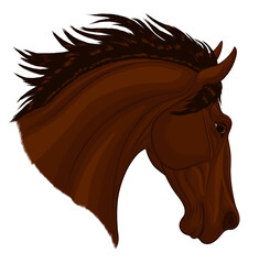 Portrait of a dark brown stallion arched its neck during a jump. Head of a leaping horse pricked up its ears. Vector illustration, design element for stud farms and equestrian shows.