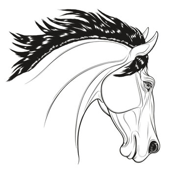 Linear portrait of a stallion arched its neck during a jump. Head of a leaping horse pricked up its ears. Vector illustration, design element for coloring books and emblem for equestrian shows.