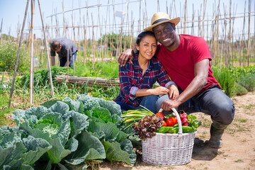 Man and woman posing with basket of ripe vegetables on the field