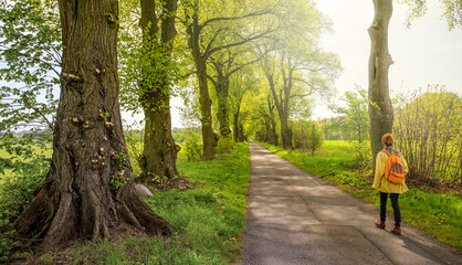 Eine schmale Strasse führt durch eine Landschaft im Land Brandenburg. Es ist Sonnenschein im Frühling. Eine Frau macht eine Wanderung. - obrazy, fototapety, plakaty