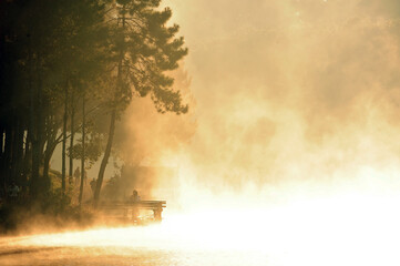Pine forest in the valley and water in Pang Ung Reservoir, Mae Hong Son Province, Thailand, in the morning a golden light splashed on the water. It creates a lot of smoke and mist, warm and romantic.