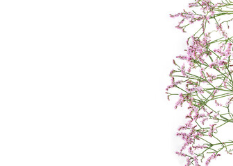 Obraz na płótnie Canvas Beautiful flower background of gypsophila flowers