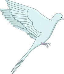 A gray bird with a forked tail flies. Vector illustration