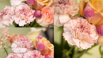 カーネーション　マリポサ