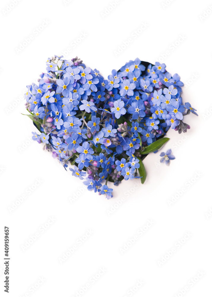 Canvas Prints Forget me not, little flowers in heart shape, isolated on white.