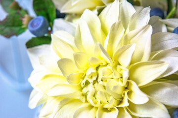 White dahlias and blueberries on an old bike
