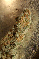 Medical cannabis super lemon haze skank macro modern background high quality prints