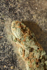 Medical cannabis super lemon haze skank macro modern background high quality prints