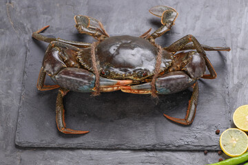 Live mud crab