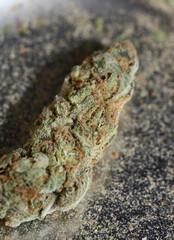 Medical cannabis super lemon haze skank macro modern background high quality prints