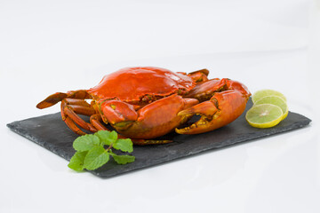 Live mud crab