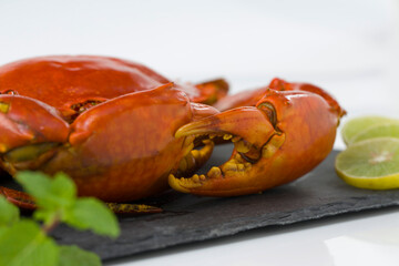 Live mud crab