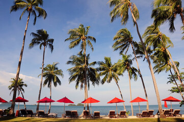 tropical beach with palm trees and red umbrellas
