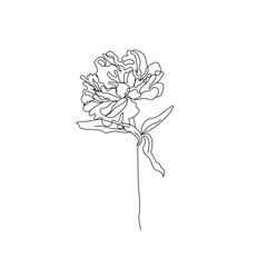 Peony Flower Continuous One Line Drawing. Floral Illustration Minimalist Style. Peony Abstract Botanical Art. Nature Flowers Symbol. Continuous Line Art of Peony. Vector EPS 10