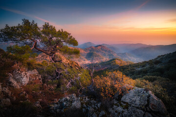 Beautiful sunrise in Troodos mountains, Cyprus