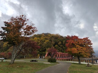 autumn in the park