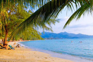 Traveler and family relax under the pine at beach